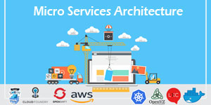 Micro Services Architecture Training