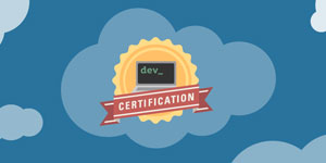 Salesforce Platform Developer Certification Training